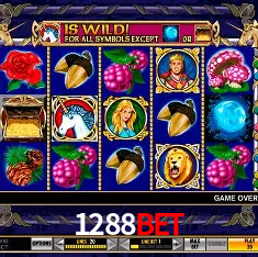 1288bet Salvador - Bonus Stats